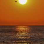 Sonnenuntergang mit Möwe