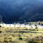 Eingang zum Strand Berkenbosch