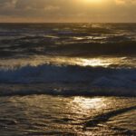Meer